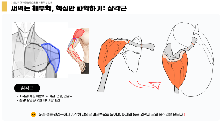 curriculum-illustrator-yanggae-03-2.webp