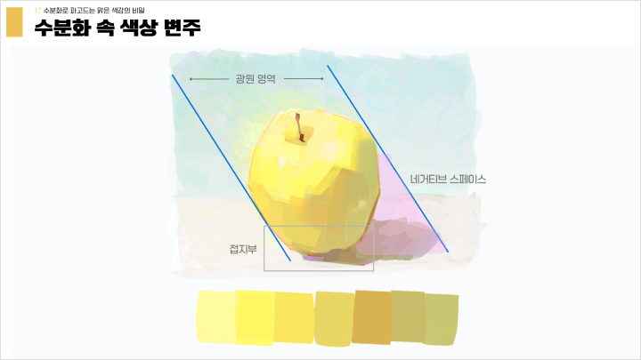 curriculum-illustrator-yanggae-05-1.webp