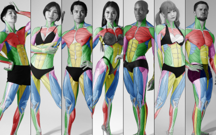 美術解剖学教員 加藤公太-image