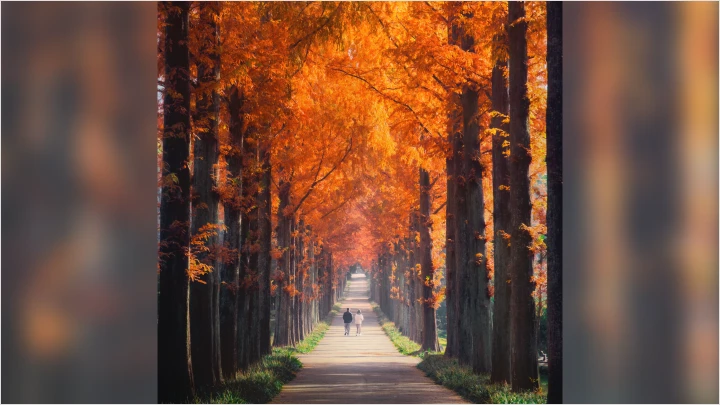 curriculum-photographer-yoonchanyoung-4.webp