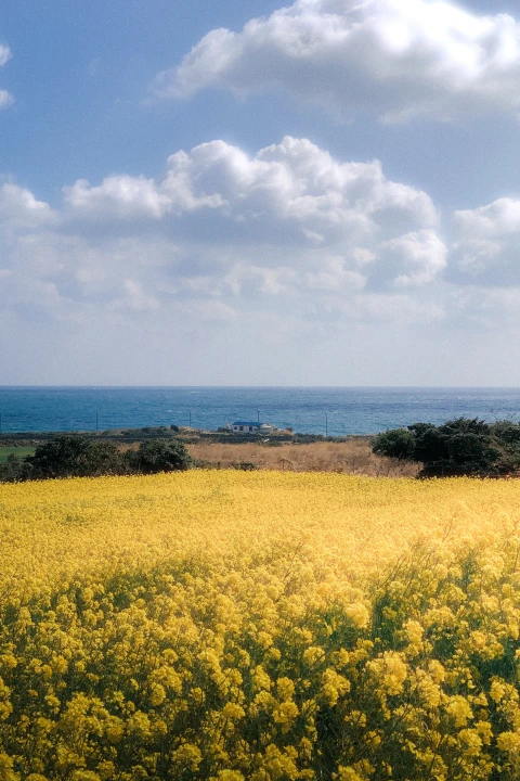 포토그래퍼, 윤찬영 포트폴리오