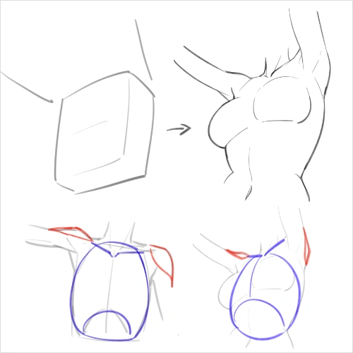 Illustrator, RaijuuNara Exercise
