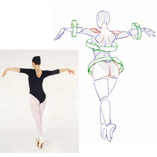 <p><strong>Shape-Based Observation</strong></p>