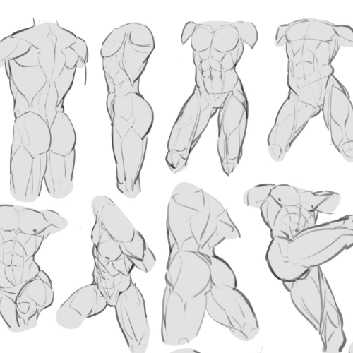 <p><strong>Dynamic Character Anatomy</strong></p>