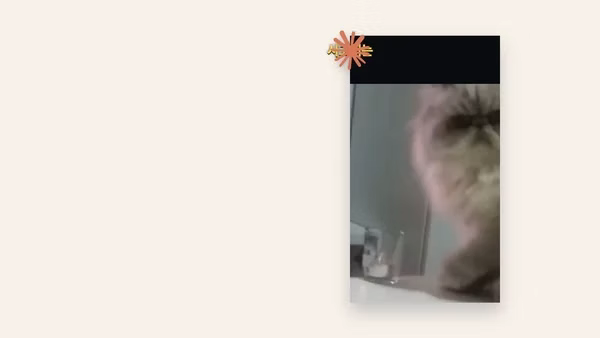 ImageSlide<b>STEP 3.</b> 영상 제목 및 랭킹태그 넣기