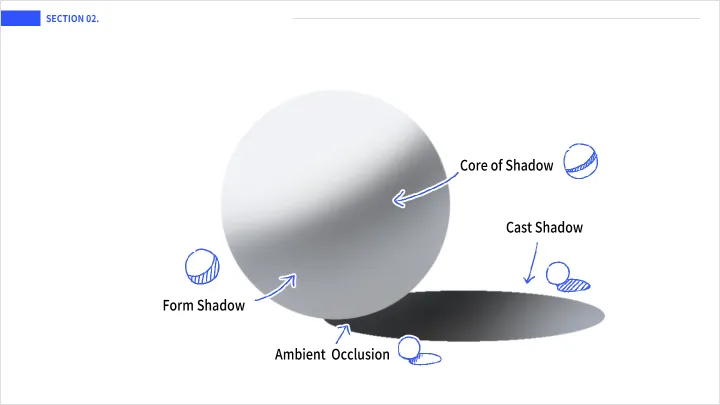 curriculum-illustrator-timy-02-1.webp