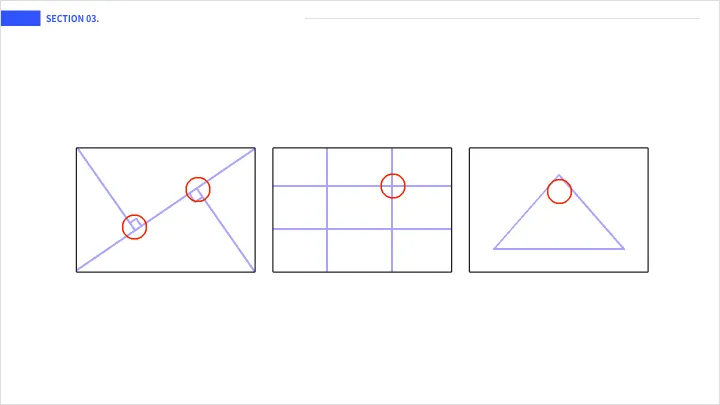 curriculum-illustrator-timy-03-1.webp