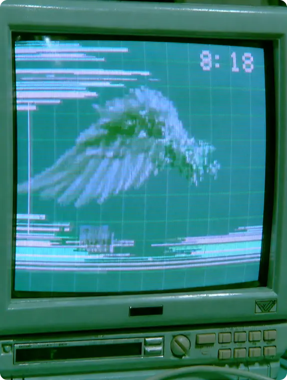 ImageSlide