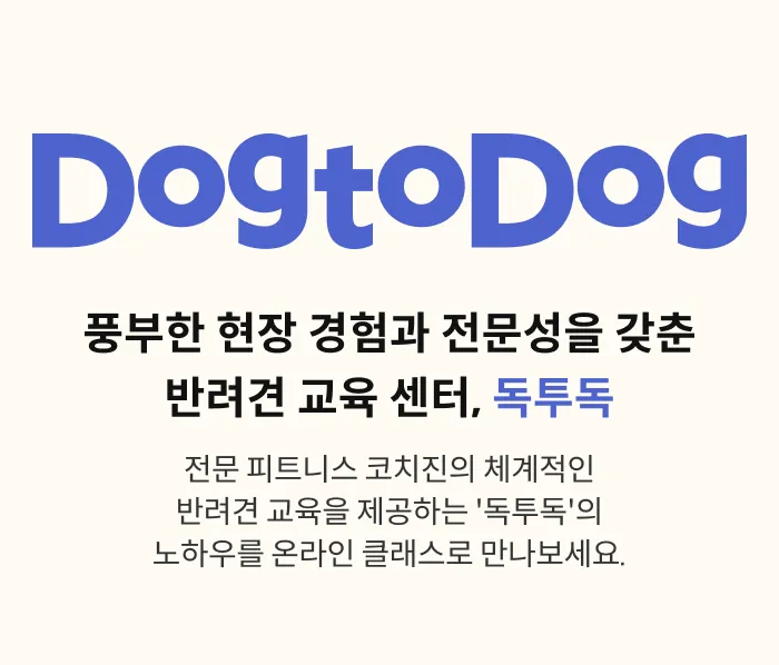 반려견 교육 센터 독투독