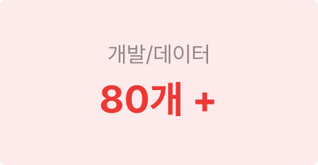 개발/데이터