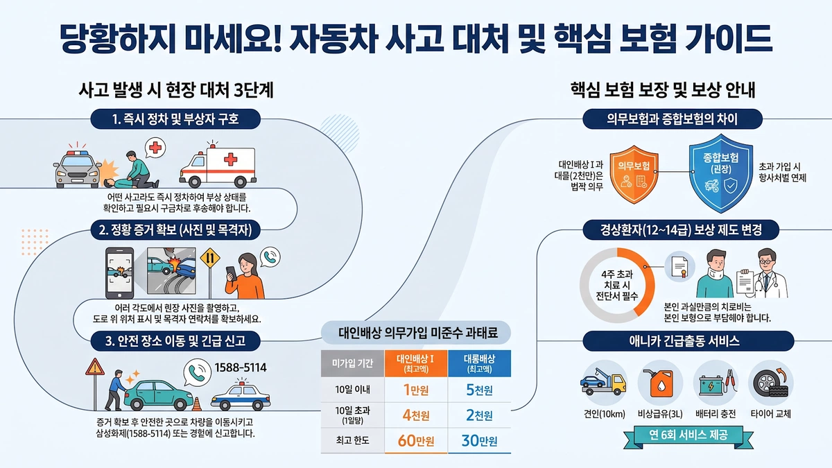 ImageSlide<b><center>복잡한 정보를 직관적으로 보여주는 인포그래픽 제작</center></b>