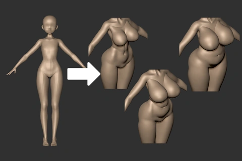 <p><strong>Understanding Fat Distribution for Appealing Body Shapes</strong></p>