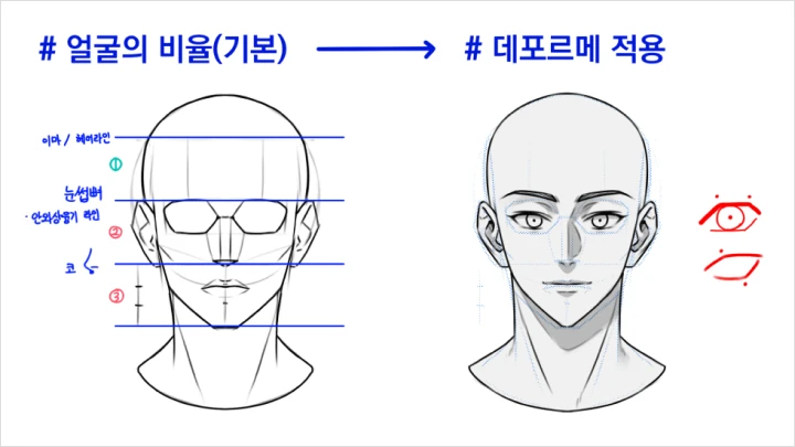 curriculum-illustrator-dalli-01.webp