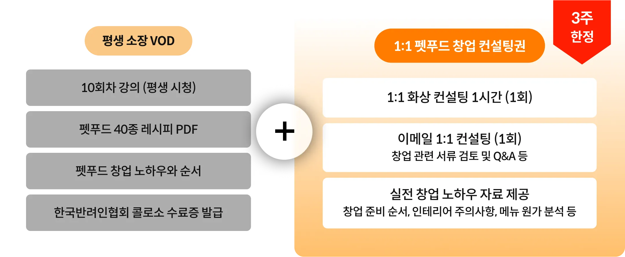 댕댕미 펫아카데미 대표, 신아람		
