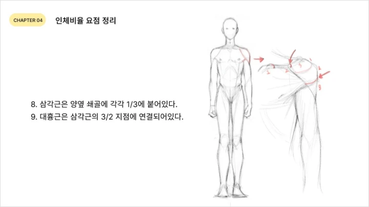 curriculum-illustrator-monchya-01-04.webp