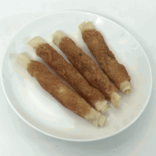 댕댕미 펫아카데미 대표, 신아람 강의예제