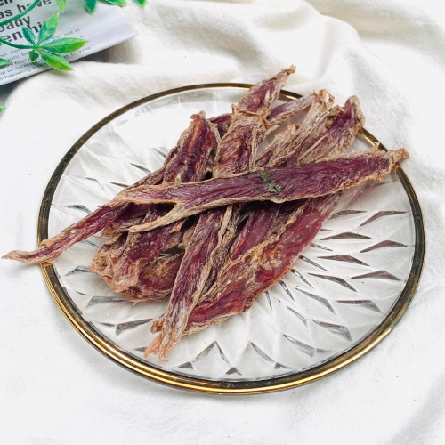 댕댕미 펫아카데미 대표, 신아람 강의예제