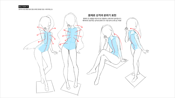 curriculum-Illustrator-spe-2-1.webp