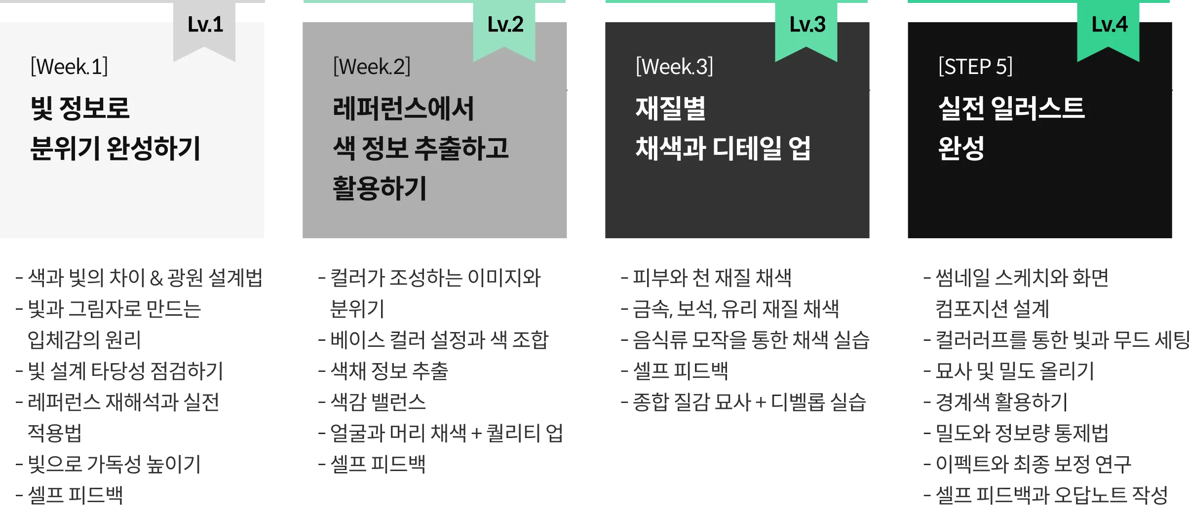 일러스트레이터, 키시		