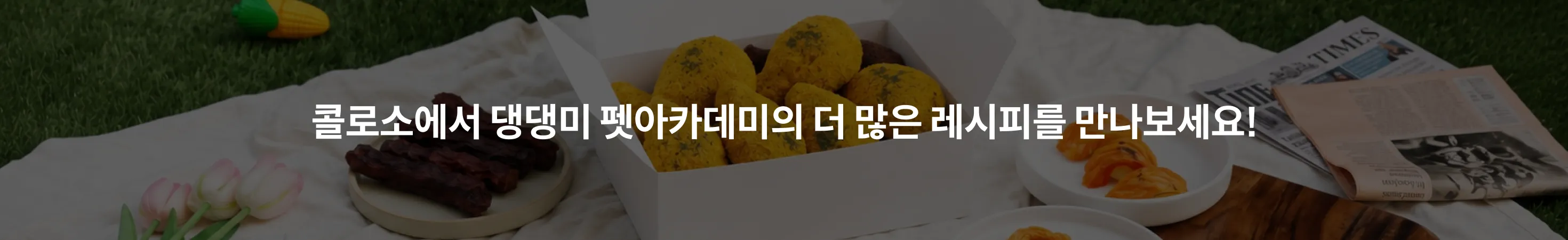 댕댕미 펫아카데미 대표, 신아람