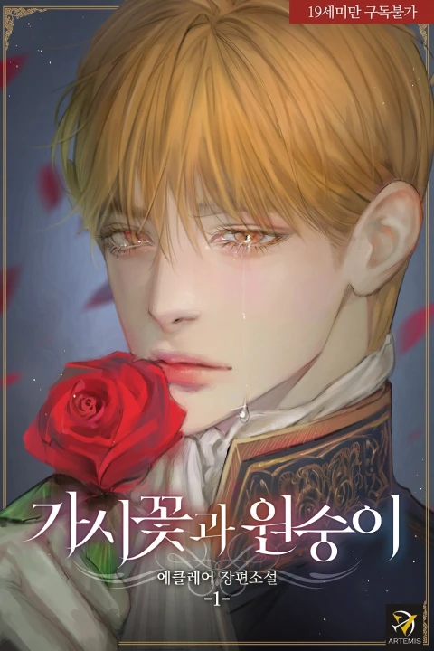 작가, 에클레어  포트폴리오