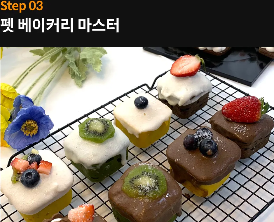 댕댕미 펫아카데미 대표, 신아람		