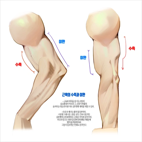 일러스트레이터, 두목 강의예제