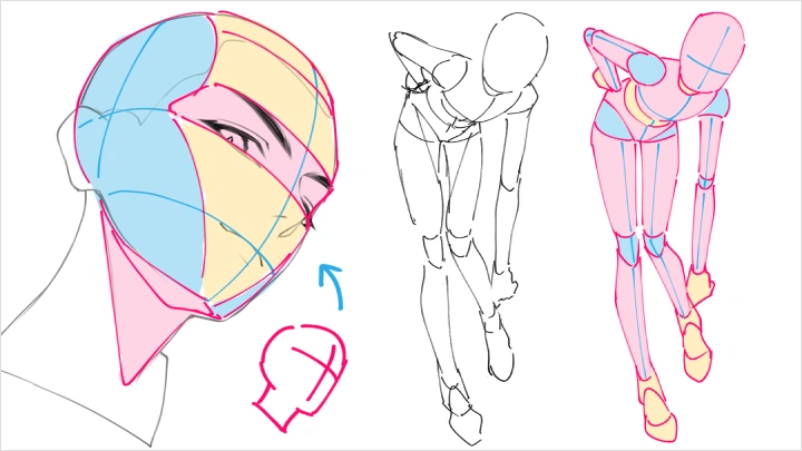 curriculum-illustrator-vinnuf-us-section03-1.webp