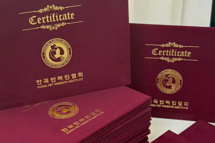 콜로소 연사명 강의 소개