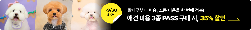 연사명 배너