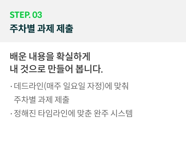 온라인캠프 로드맵