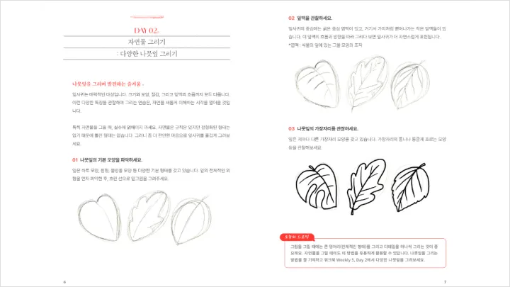 curriculum-illustrator-leeyeon-02-3.webp