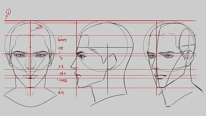 kr-illustrator-dawit-curriculum-06.webp
