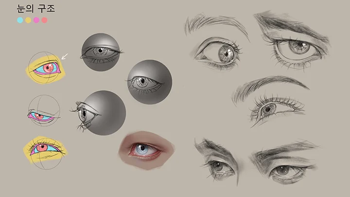 kr-illustrator-dawit-curriculum-07-1.webp