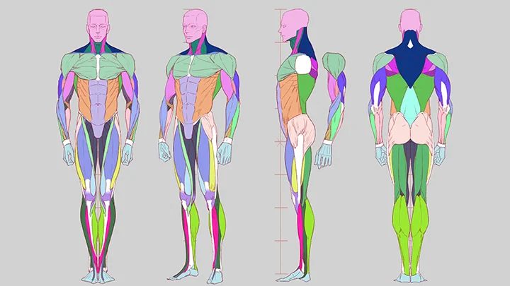 kr-illustrator-dawit-curriculum-08-1.webp