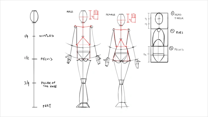 curriculum-illustrator-christinawu-us-02-1.webp