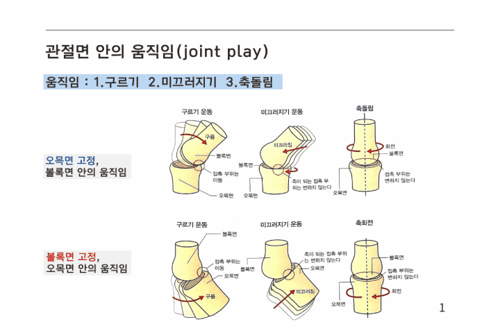필라테스 전문가, 김수현  강의소개
