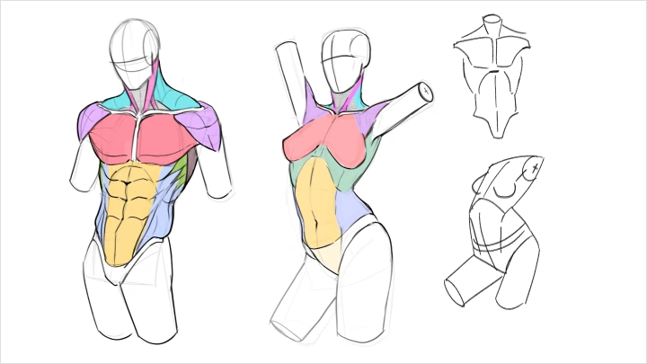 curriculum-illustrator-christinawu-us-04-1.webp