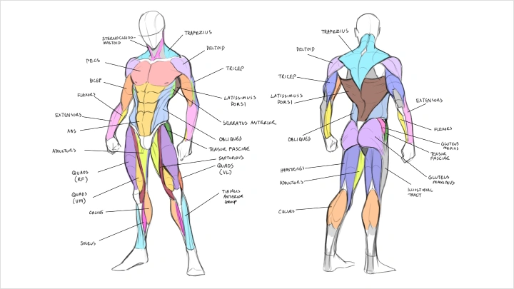 curriculum-illustrator-christinawu-us-04-2.webp