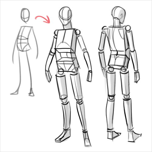 Illustrator, Christina Wu Exercise