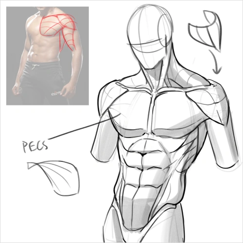 Illustrator, Christina Wu Exercise