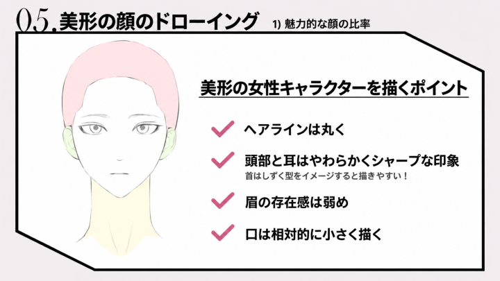 curriculum-illustrator-su-jp-02.webp