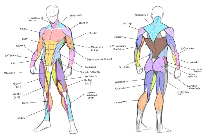 Illustrator, Christina Wu Exercise