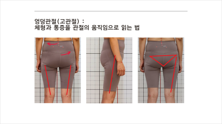 curriculum-fitness-kimsuhyun-01-01.webp