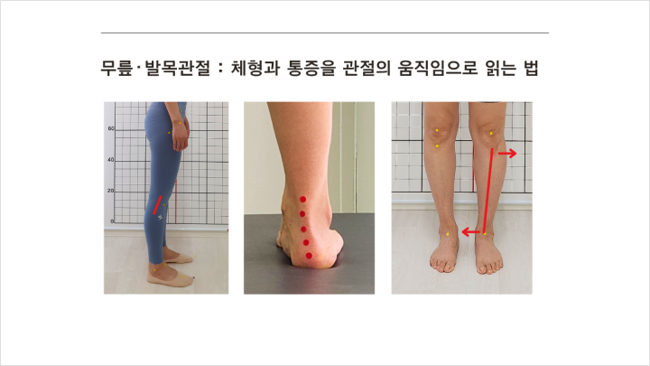 curriculum-fitness-kimsuhyun-01-02.webp
