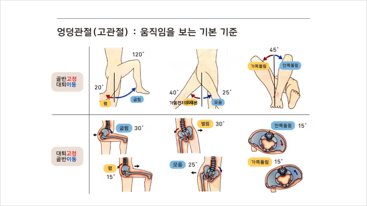 curriculum-fitness-kimsuhyun-02-01.webp