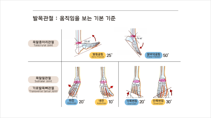 curriculum-fitness-kimsuhyun-02-02.webp