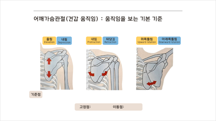 curriculum-fitness-kimsuhyun-03-01.webp