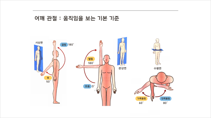 curriculum-fitness-kimsuhyun-03-02.webp