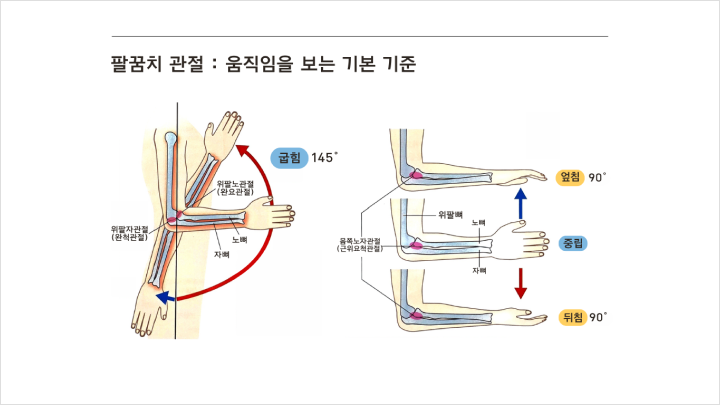 curriculum-fitness-kimsuhyun-03-03.webp